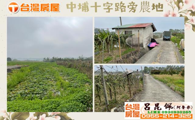 中埔農地-1