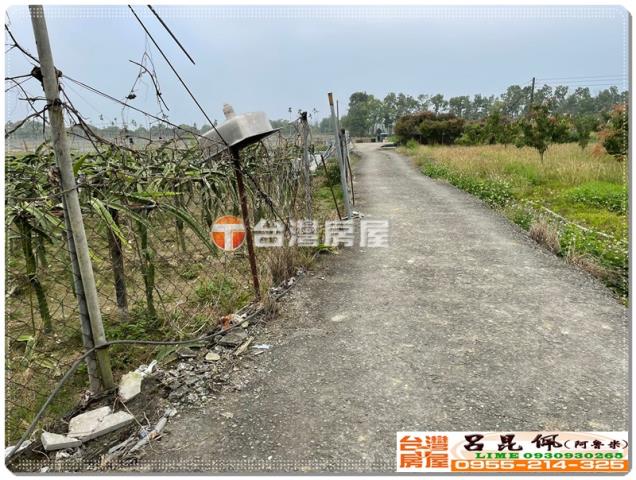 中埔農地-2