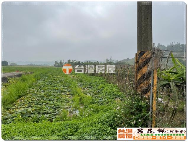 中埔農地-4