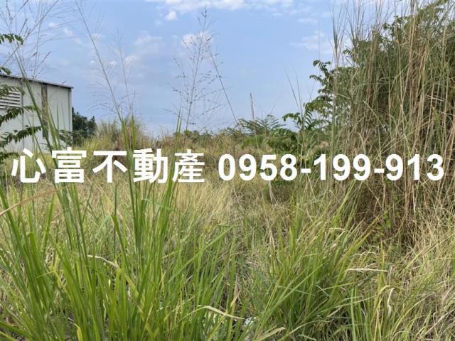 大社農地-2