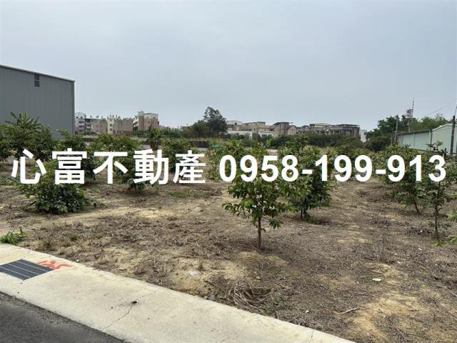 湖內農地-1