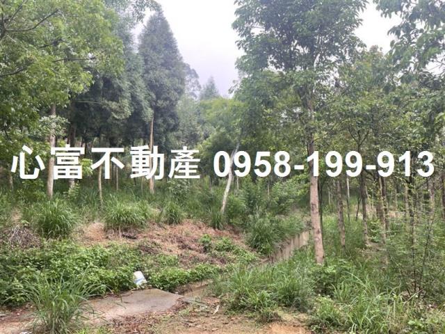 大社農地-1