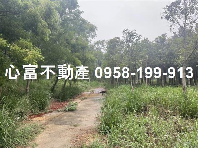 大社農地-2