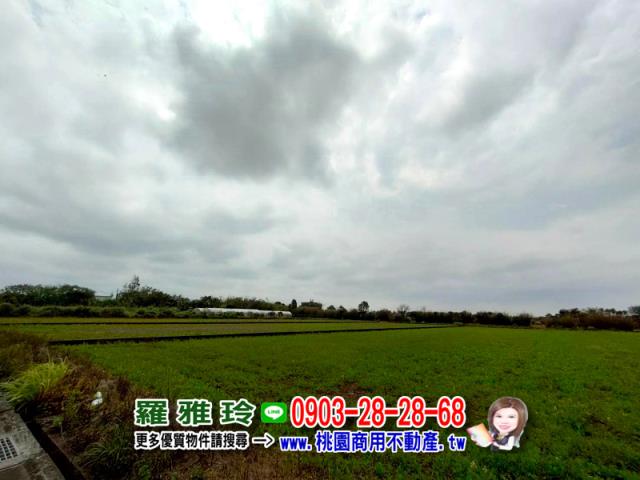 桃園農地-2