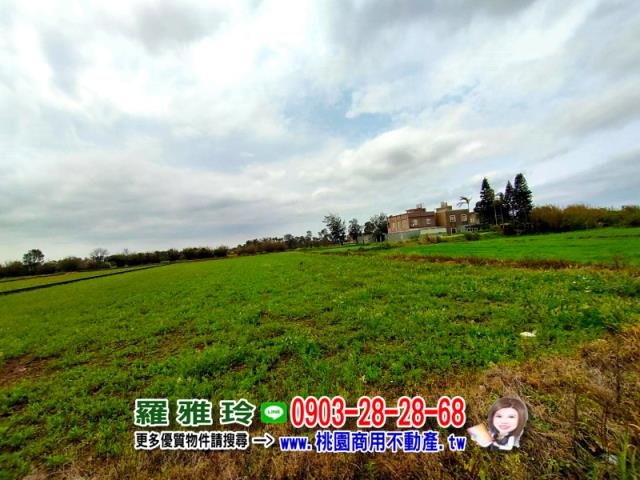 桃園農地-3