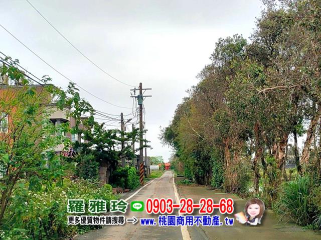 桃園農地-5
