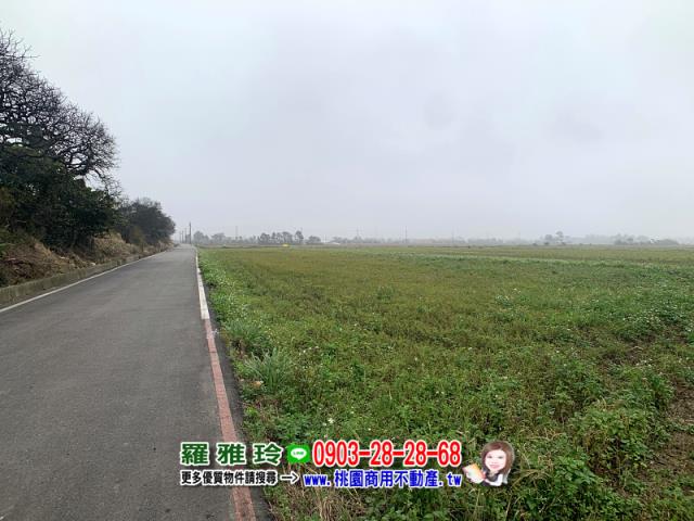 桃園農地-2