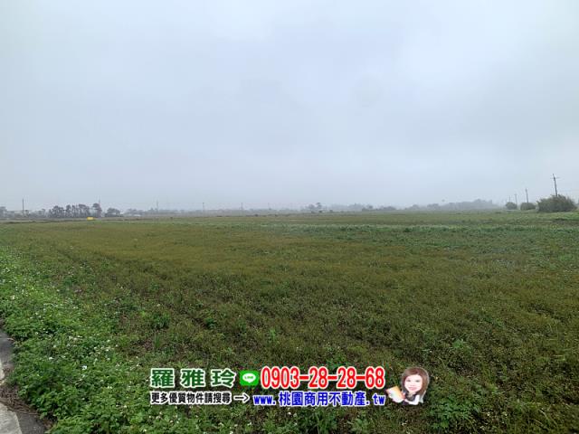 桃園農地-3
