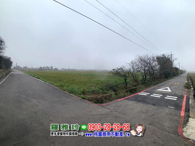 桃園農地-5