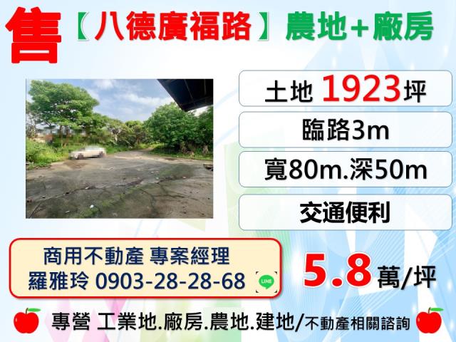 桃園八德農地-1