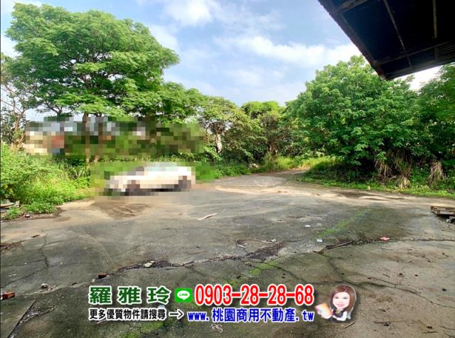 桃園八德農地-6