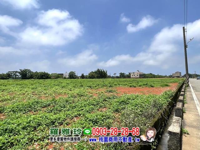 桃園觀音農地-2