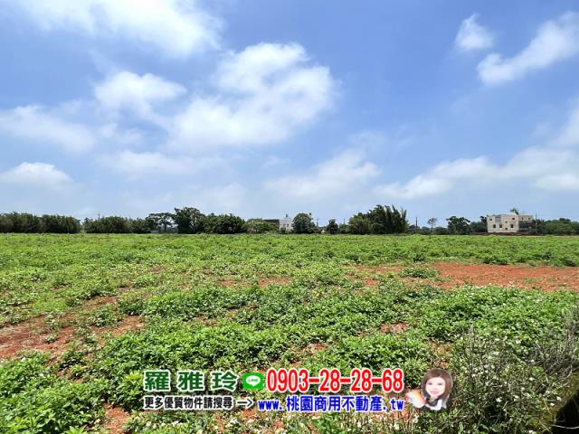桃園觀音農地-3