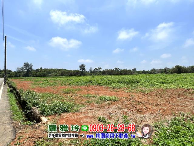 桃園觀音農地-4