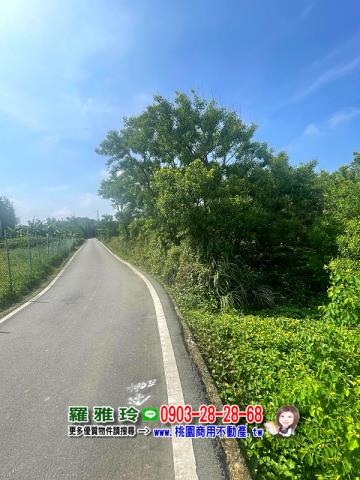 桃園觀音農地-3