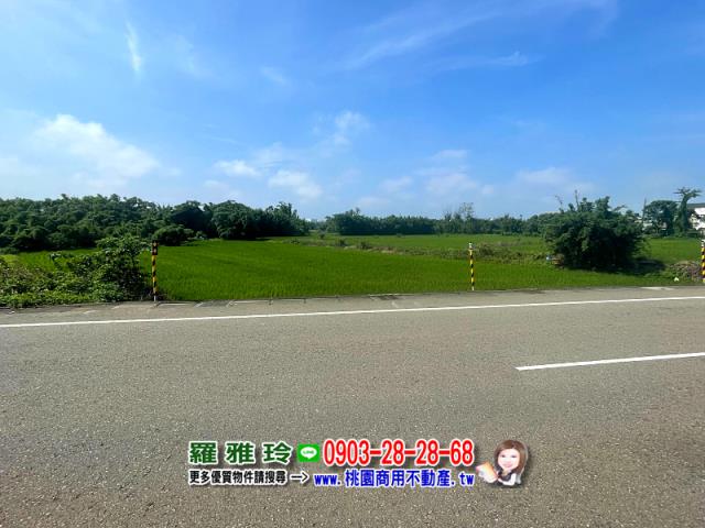 桃園觀音農地-4