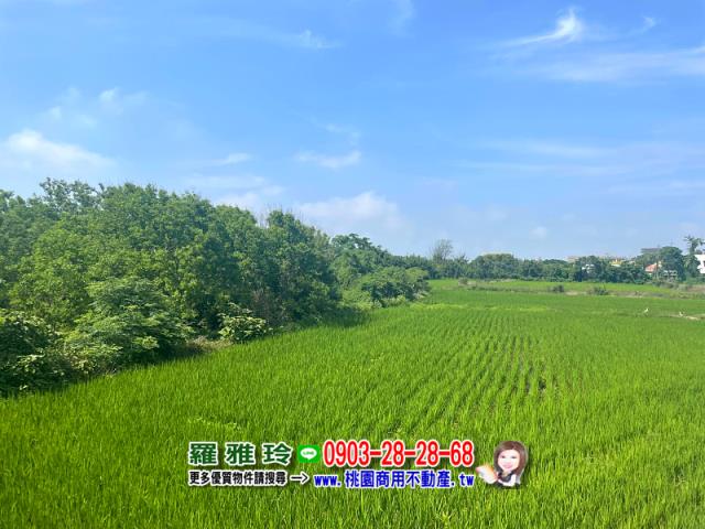 桃園觀音農地-5