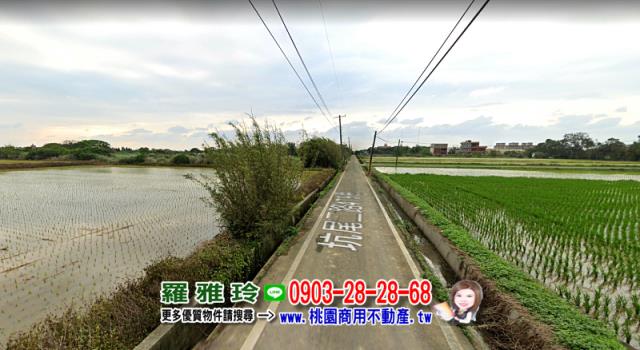 桃園建地-2