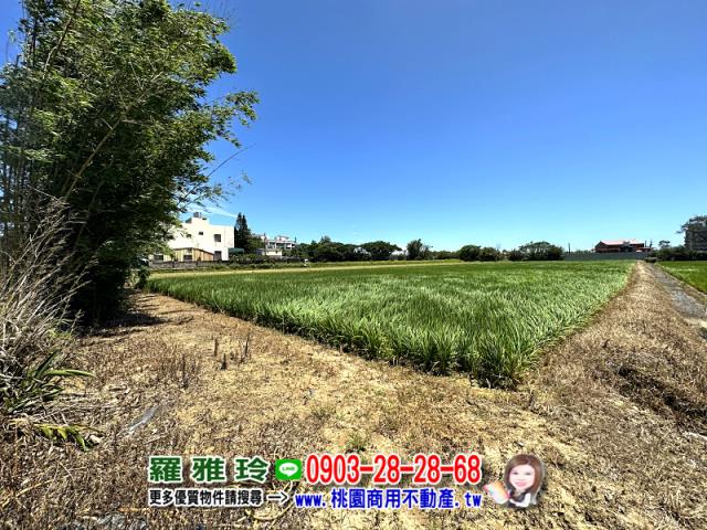 桃園觀音農地-4