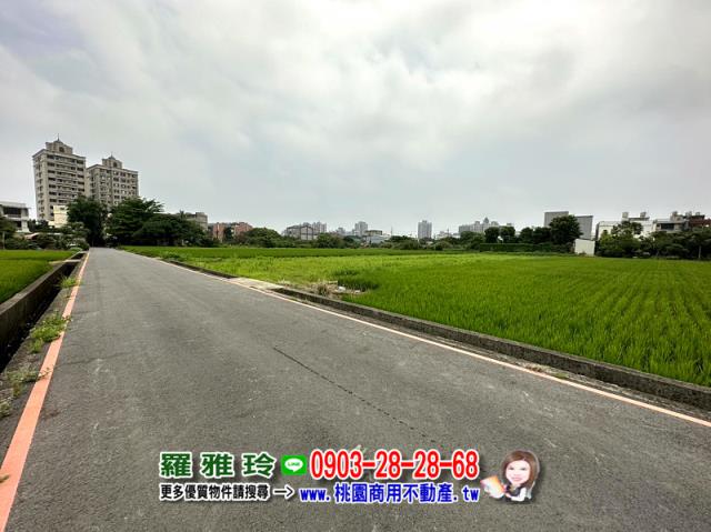 桃園蘆竹農地-2