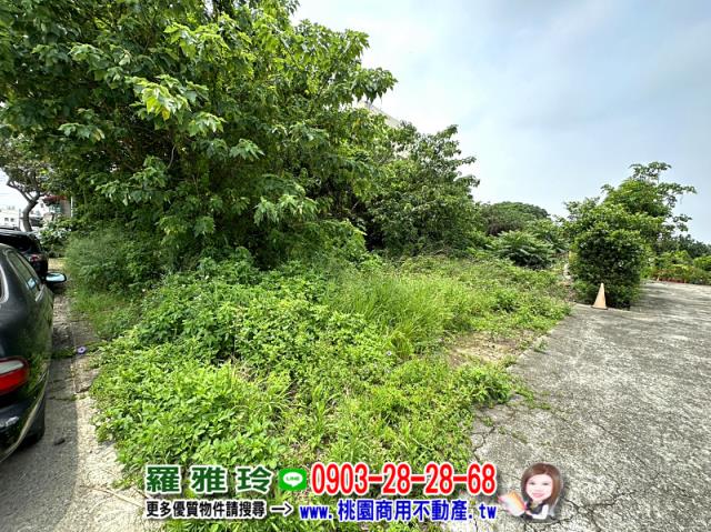 桃園蘆竹農地-3