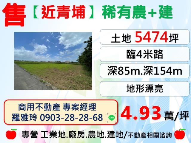 桃園中壢農地-1