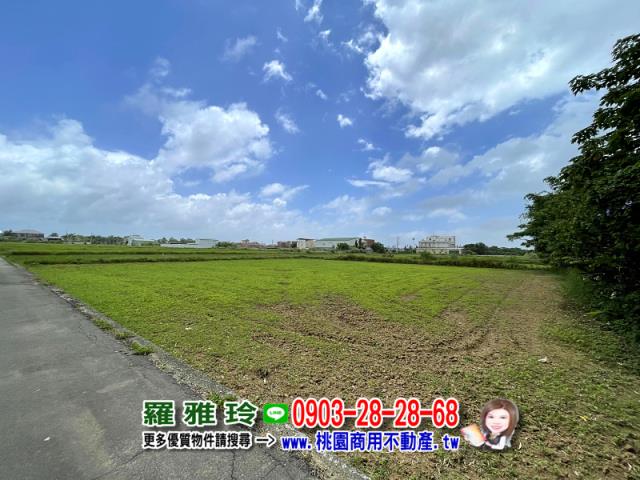 桃園中壢農地-2