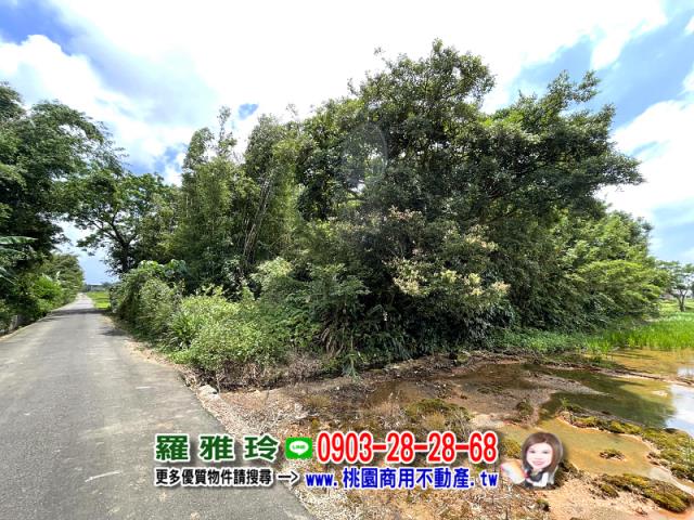 桃園中壢農地-3