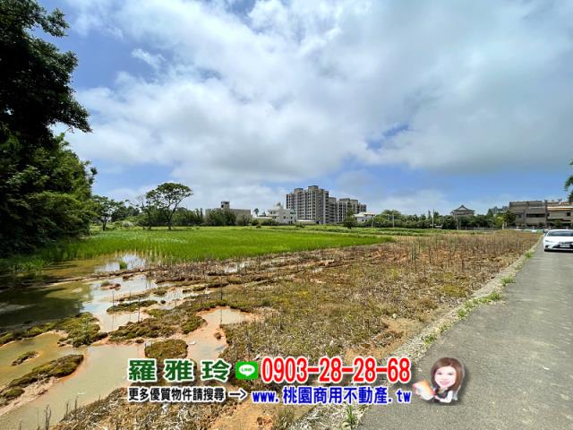 桃園中壢農地-4