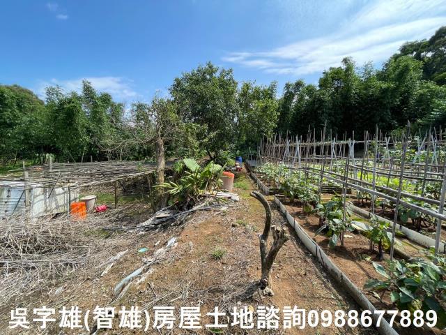 士林農地-10