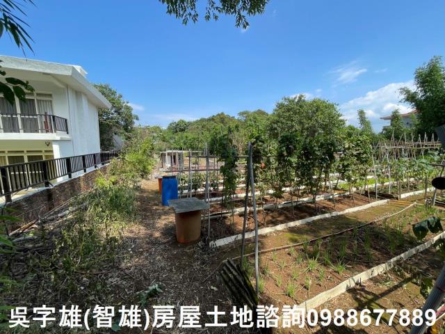 士林農地-13