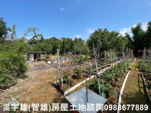 士林農地-15