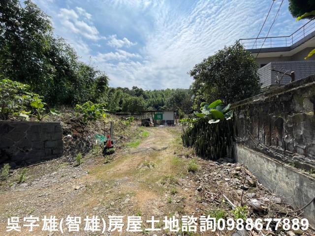 士林農地-1