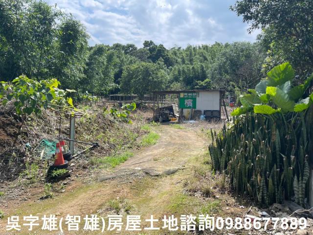 士林農地-5