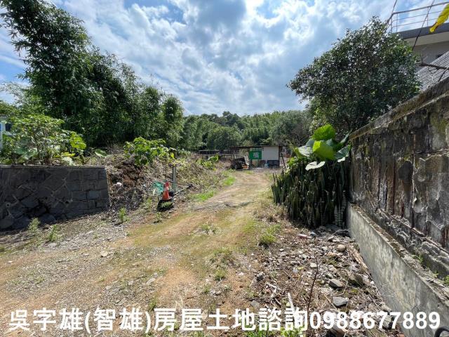 士林農地-6