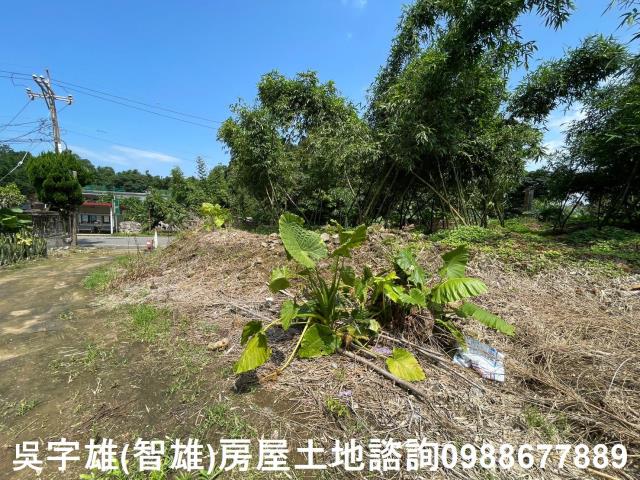 士林農地-8