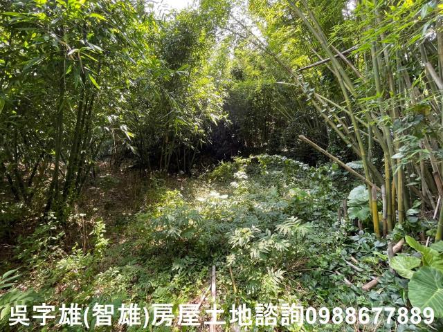 士林農地-9