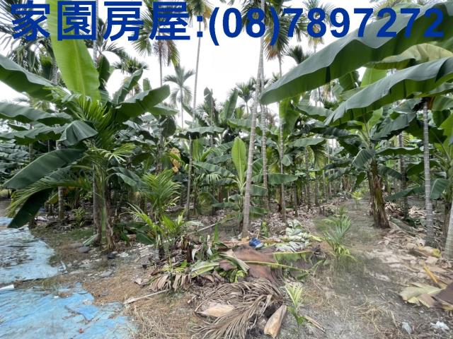 潮州農地-3