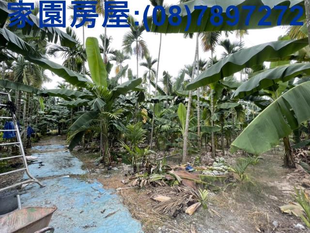潮州農地-4