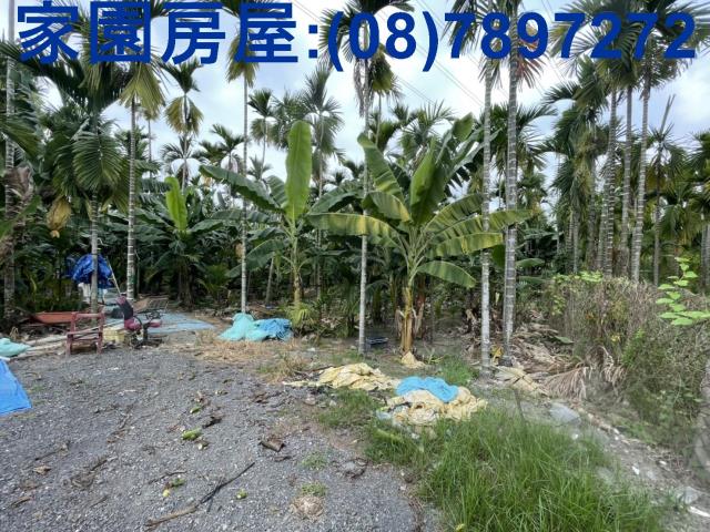 潮州農地-5