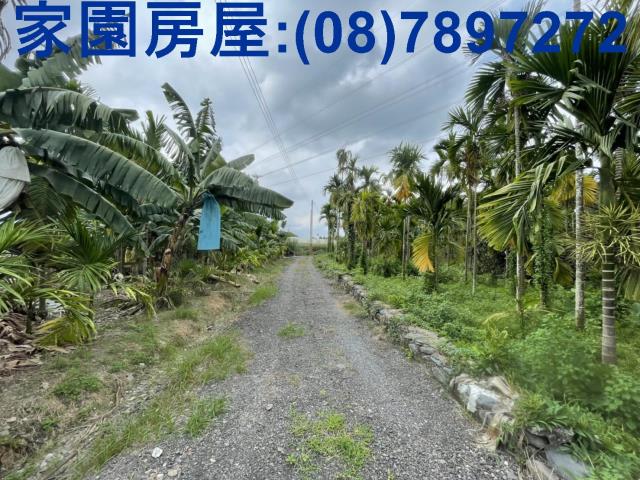 潮州農地-1