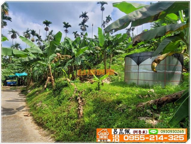 中埔農地-2