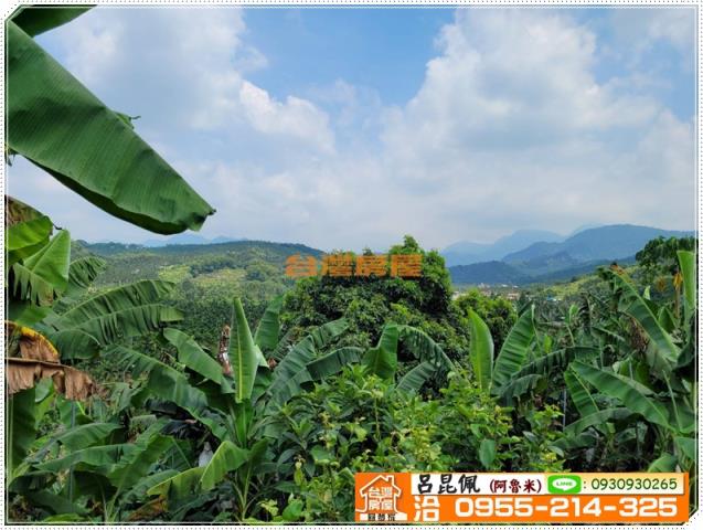 中埔農地-5