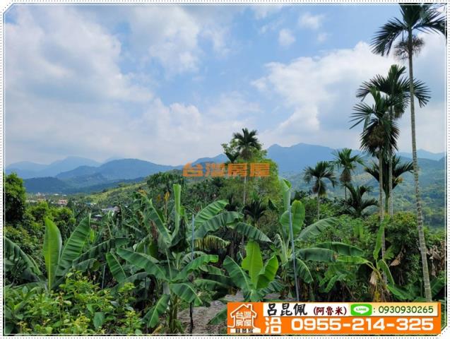 中埔農地-6