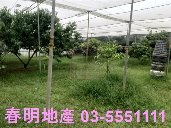 新竹湖口農地-10