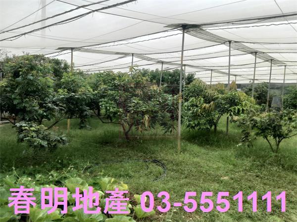 新竹湖口農地-12