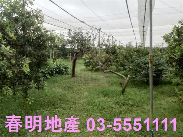 新竹湖口農地-13