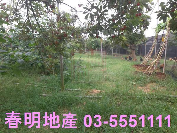 新竹湖口農地-4