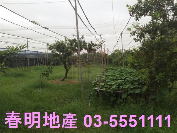 新竹湖口農地-8