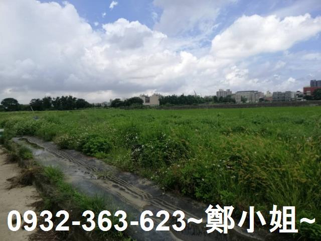 桃園區農地-10